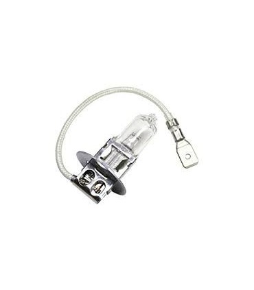 H3 64055 6V-55W PK22S