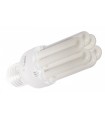 LAMP. BAJO CONSUMO 11W-4100K 6U E-2