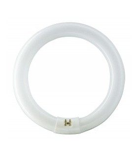 TUBO FLUOR.  22W-368 CIRCULAR --456