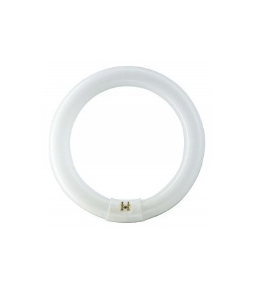TUBO FLUOR.  22W-368 CIRCULAR --456