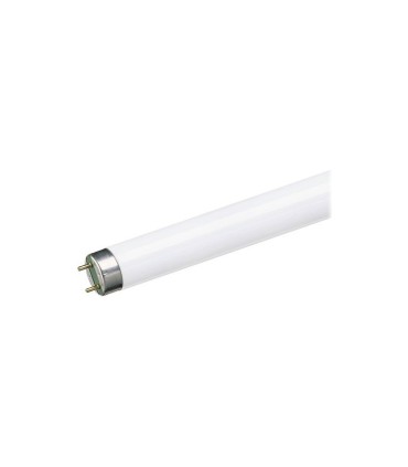 TUBO FLUOR. 10W-CW