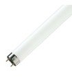 TUBO FLUOR. 15W-954