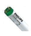 TUBO FLUOR. 16W-840  ECO