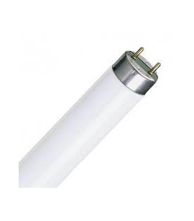 TUBO FLUOR. 18W-6500 L.D.