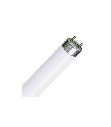 TUBO FLUOR. 18W-6500 L.D.