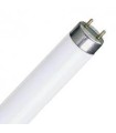 TUBO FLUOR. 18W-6500 L.D.