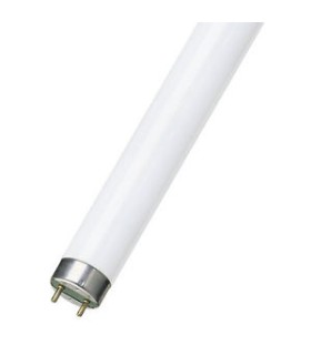 TUBO FLUOR. 30W-77 FLUORA