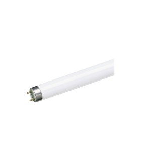 TUBO FLUOR. 36W-77 FLUORA