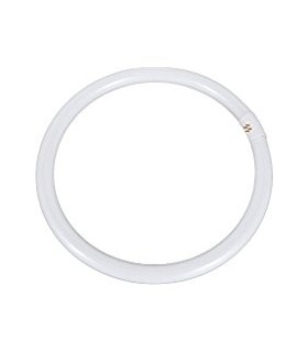 TUBO FLUOR. 40W-133 CIRCULAR  --493