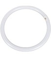 TUBO FLUOR. 40W-133 CIRCULAR  --493