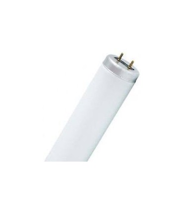 TUBO FLUOR. 40W-640 XL