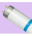 TUBO FLUOR. 58W-840 SECURA
