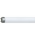 TUBO FLUOR. F70W- 840 -1094-