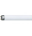 TUBO FLUOR. F70W- 865 -1095-