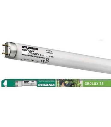 TUBO FLUOR. GROLUX 14W  --43--