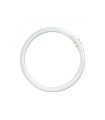 TUBO FLUOR. T5 22W-865  CIRCULAR