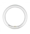 TUBO FLUOR.22W-827 CIRCULAR