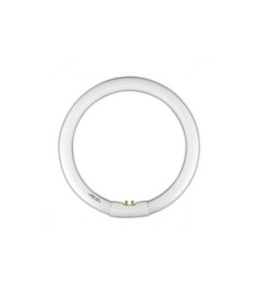 TUBO FLUOR.22W-840 CIRCULAR