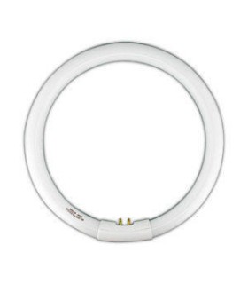 TUBO FLUOR.32W-827 CIRCULAR