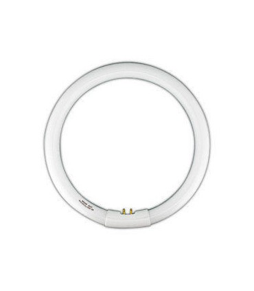 TUBO FLUOR.32W-840 CIRCULAR