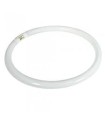 TUBO FLUOR.T5 40W-827  CIRCULAR