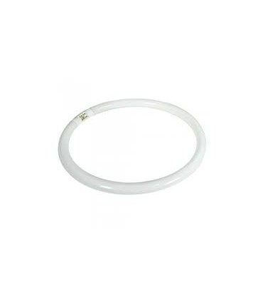 TUBO FLUOR.T5 40W-830  CIRCULAR