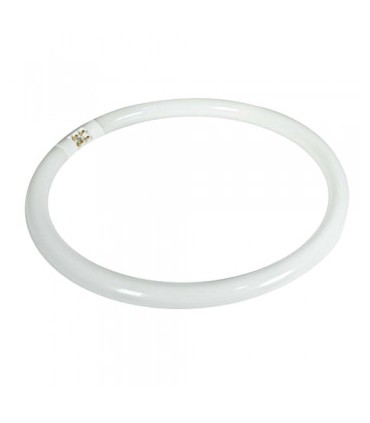 TUBO FLUOR.T5 40W-840  CIRCULAR