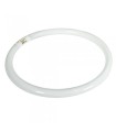TUBO FLUOR.T5 40W-840  CIRCULAR