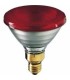 PAR 38 12V 80W ROJA E-27