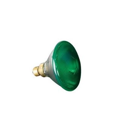 PAR 38 12V 80W VERDE E-27