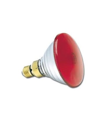 PAR 38 ROJA 80W-240V  E-27 -19652-
