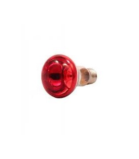 REFLECTORA R-63 40W-230V E-27 ROJA