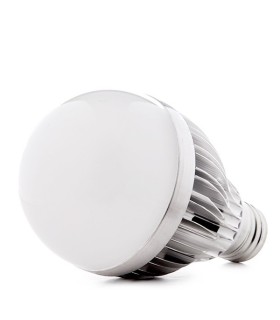 Bombilla de LED Esférica ECOLINE 12W 1000Lm 30.000H