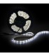 Tira de 300 LEDs SMD3528 12VDC IP65