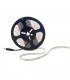 Tira de 300 LEDs SMD3528 12VDC IP65