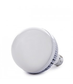 Bombilla de LEDs G80 E27 10W 800Lm 30.000H