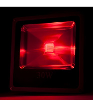 Foco Proyector de LEDs para Exterior ECOLINE 30W RGB con Mando a Distancia