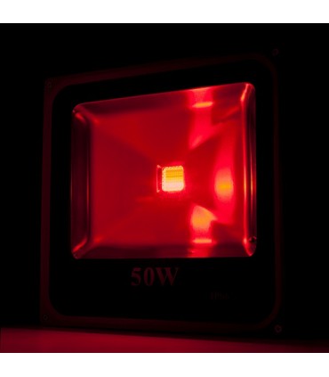 Foco Proyector de LEDs para Exterior ECOLINE 50W RGB con Mando a Distancia