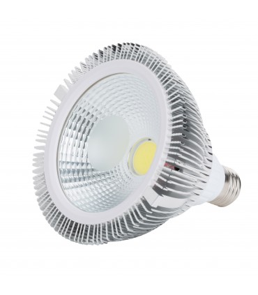 Lámpara de LEDs PAR38 E27 COB 12W 950Lm 30.000H