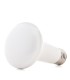 Bombilla de LEDs R63 E27 7W 550Lm 30.000H