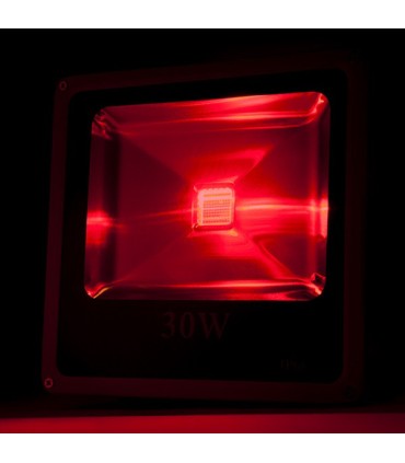 Foco Proyector de LEDs para Exterior ECOLINE 30W RGB con Mando a Distancia