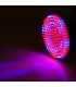 Bombilla LED Grow PAR38 E27 168 LEDs  9W Rojo/Azul 50.000H Tipo A