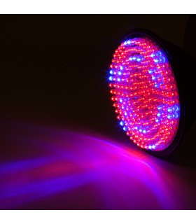 Bombilla LED Grow PAR38 E27 168 LEDs  9W Rojo/Azul 50.000H Tipo A