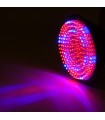 Bombilla LED Grow PAR38 E27 168 LEDs  9W Rojo/Azul 50.000H Tipo A