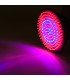 Bombilla LED Grow PAR38 E27 168 LEDs  9W Rojo/Azul 50.000H Tipo B