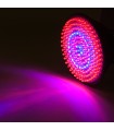 Bombilla LED Grow PAR38 E27 168 LEDs  9W Rojo/Azul 50.000H Tipo B