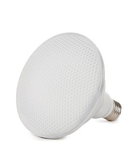 Bombilla de LEDs PAR38 E27 Estanca IP65 12W 1080Lm 30.000H