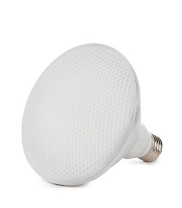 Bombilla de LEDs PAR38 E27 Estanca IP65 12W 1080Lm 30.000H