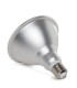 Bombilla de LEDs PAR38 E27 Estanca IP65 12W 1080Lm 30.000H