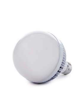 Bombilla de LEDs G80 E27 DIMABLE 10W 800Lm 30.000H